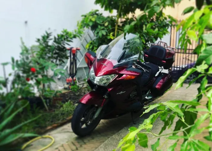 Oda ve Kahvaltı Casa Bea 3*